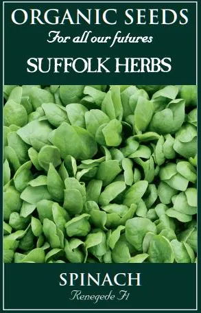 Spinach Renegade F1 - Mill Race Garden Centre