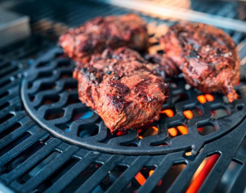 Enders Switch Grid Sear Grate - Mill Race Garden Centre