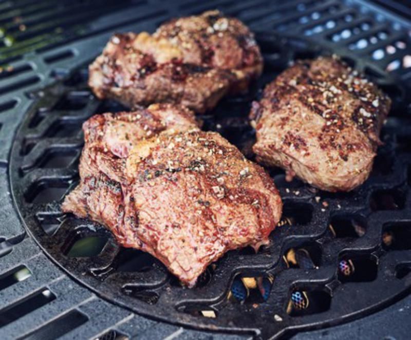 Enders Switch Grid Sear Grate - Mill Race Garden Centre