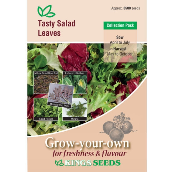 Kings Seeds Tasty Salad Leaves Collection Pack