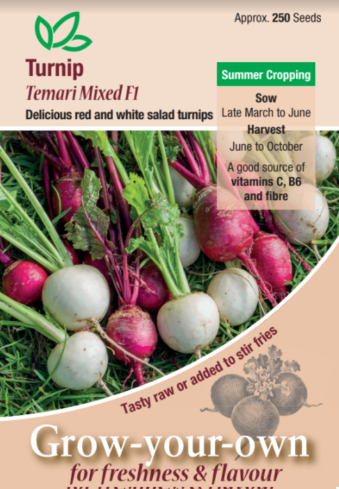 Turnip Temari Mixed F1 - Mill Race Garden Centre