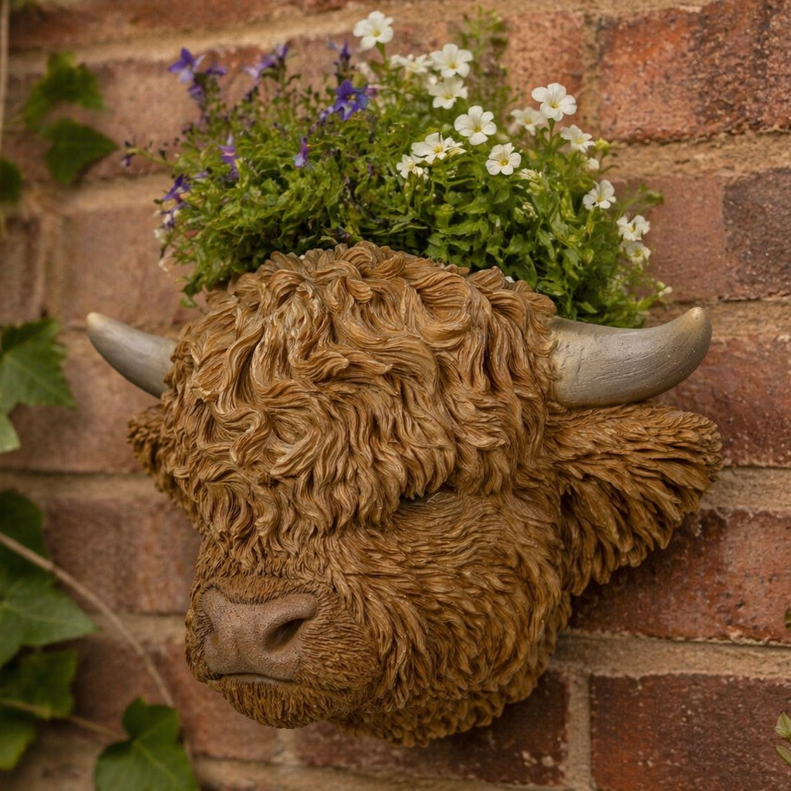 Vivid Arts Highland Cattle resin wall planter with lifelike cattle design, perfect for outdoor or indoor home decor.