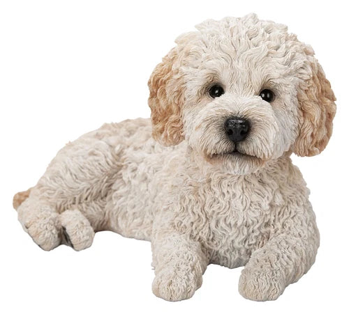 Real Life Crème Labradoodle Size D by Vivid Arts - Mill Race Garden Centre