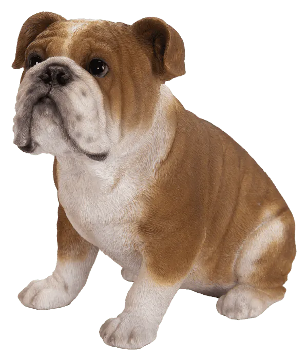 Real Life Tricolour Bulldog Size D by Vivid Arts - Mill Race Garden Centre