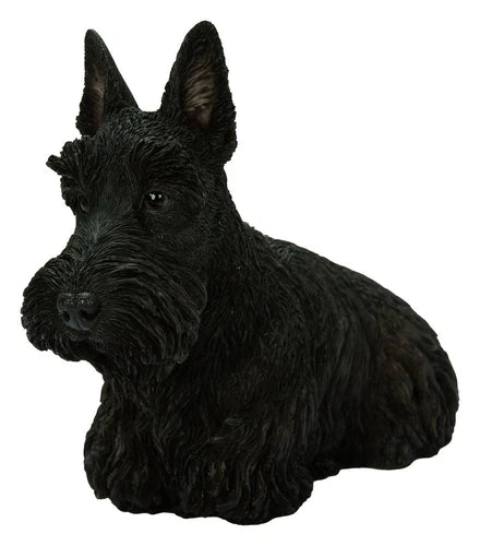 Real Life Black Scottish Terrier Size D by Vivid Arts - Mill Race Garden Centre