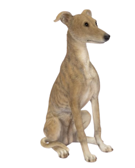 Whippet Real Life Resin Ornament by Vivid Arts - Mill Race Garden Centre
