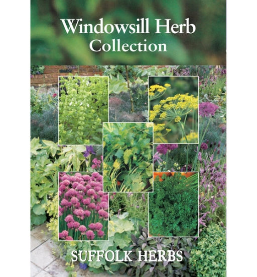 Suffolk Herbs Windowsill Herb Collection