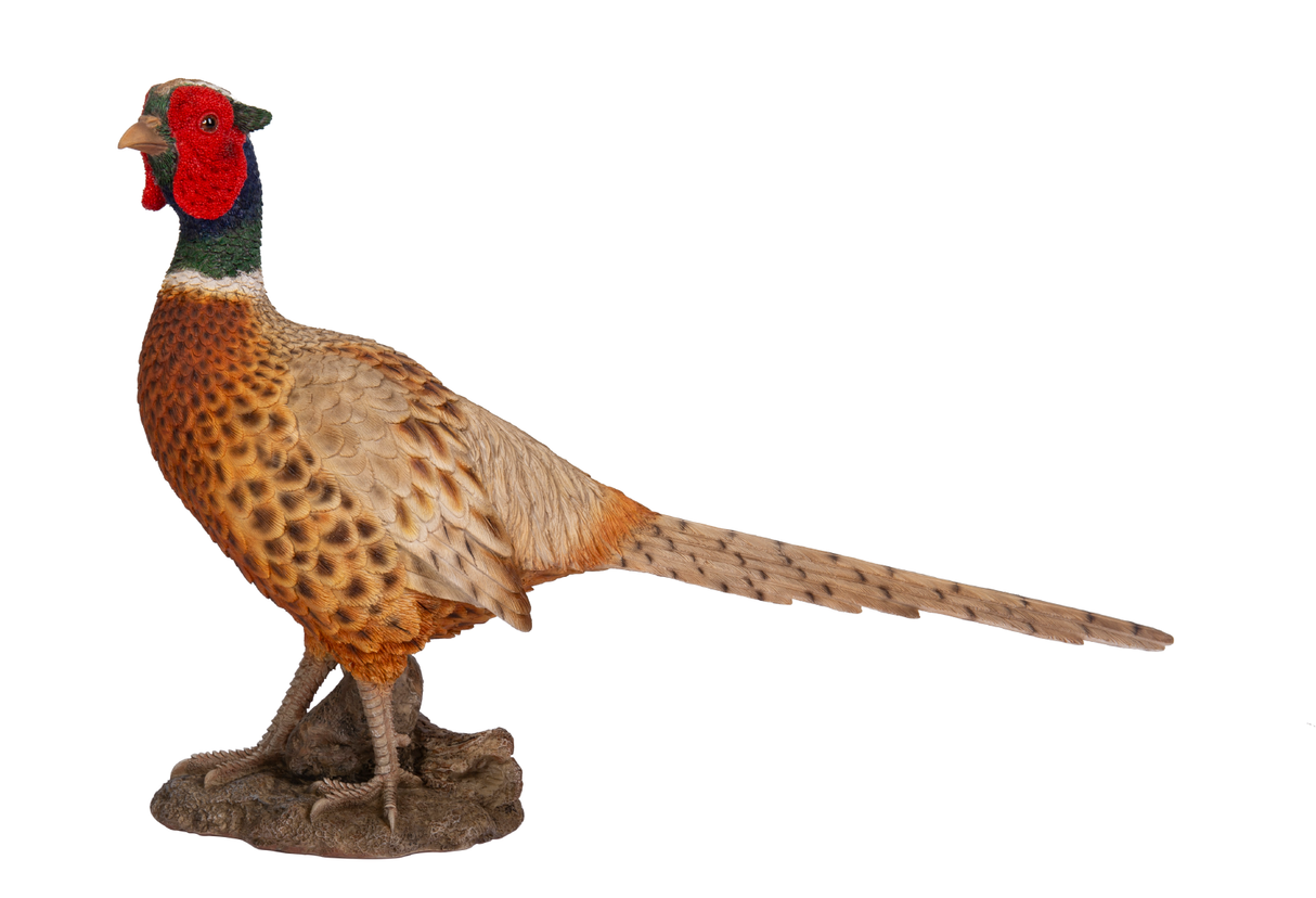 Pheasant Real Life Resin Ornament By Vivid Arts - Mill Race Garden Centre