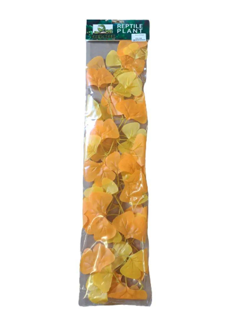 Autumn Ginkgo - Mill Race Garden Centre