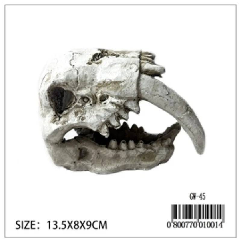 Dinosaur Skull - Mill Race Garden Centre