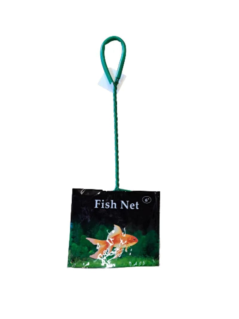 Fish Net Green 6'' - Mill Race Garden Centre