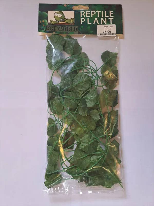 Grape Leaf - Mill Race Garden Centre