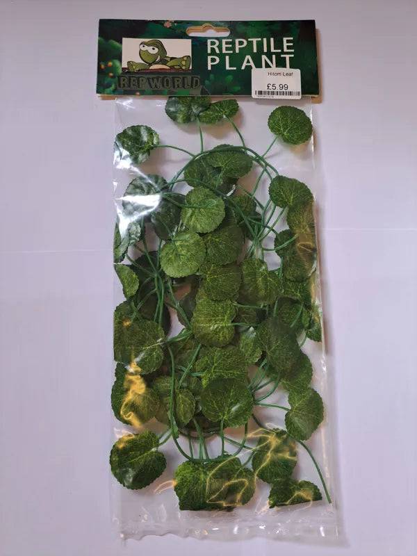 Hitom Leaf - Mill Race Garden Centre