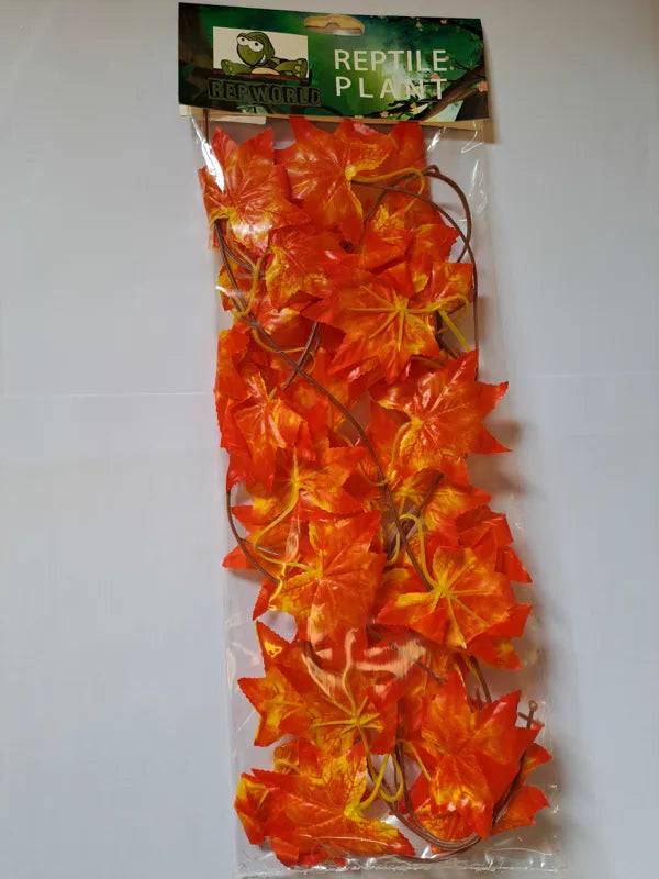 Red Maple Leaves - Mill Race Garden Centre