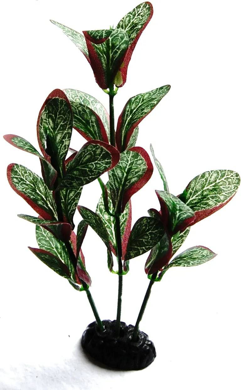 Sunny Aquarium Silk Plant APS-026 8 Inch - Mill Race Garden Centre