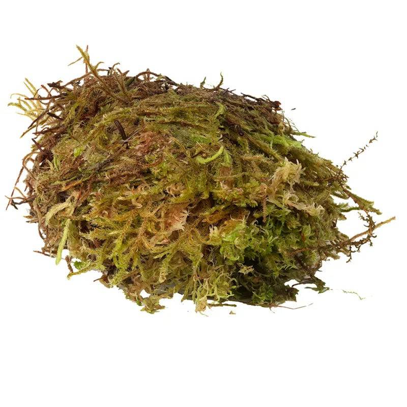 HabiStat Sphagnum Moss 250g - Mill Race Garden Centre
