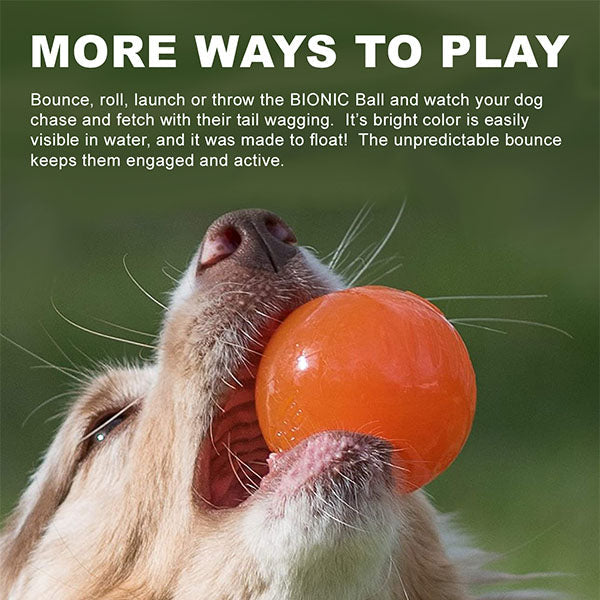 BIONIC Ball Large 8.2cm (3.25in) - Mill Race Garden Centre