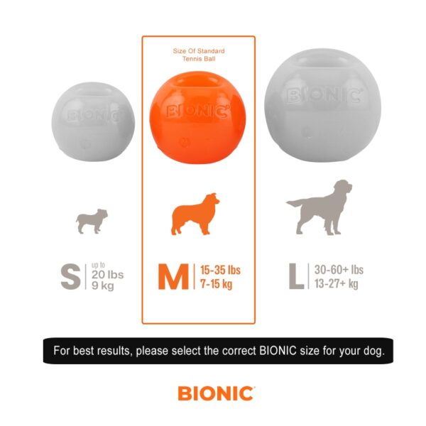 BIONIC Ball Medium 6.7cm (2.6in) - Mill Race Garden Centre