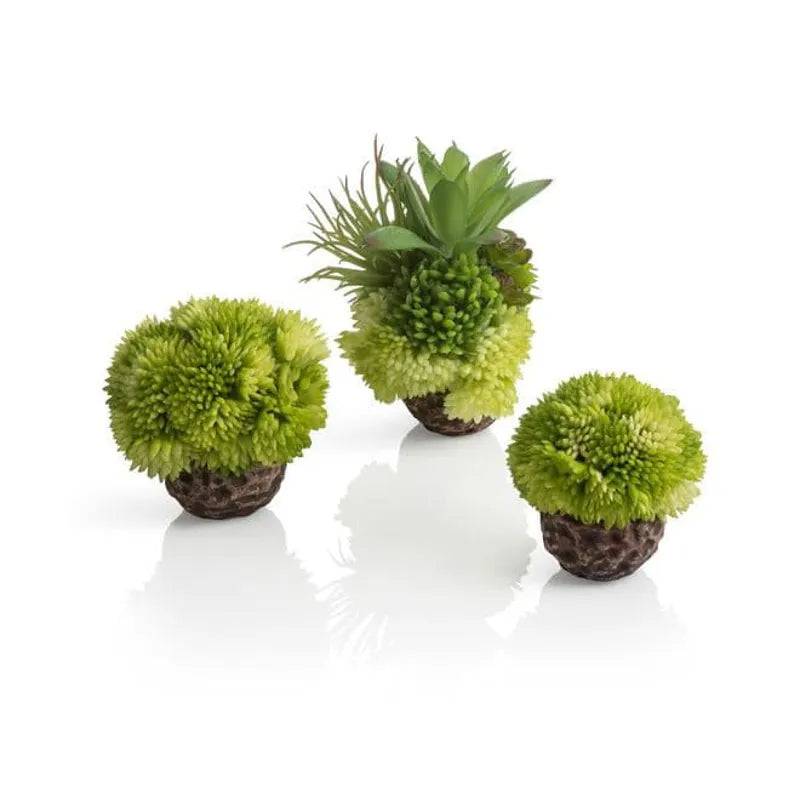 biOrb coral ball set green - Mill Race Garden Centre