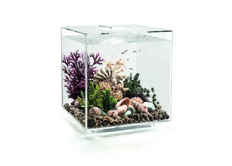 biOrb CUBE 60 Clear MCR New - Mill Race Garden Centre