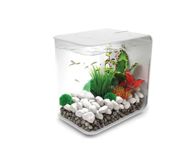 biOrb FLOW 15L Black with Multi Colour Remote 2020. - Mill Race Garden Centre