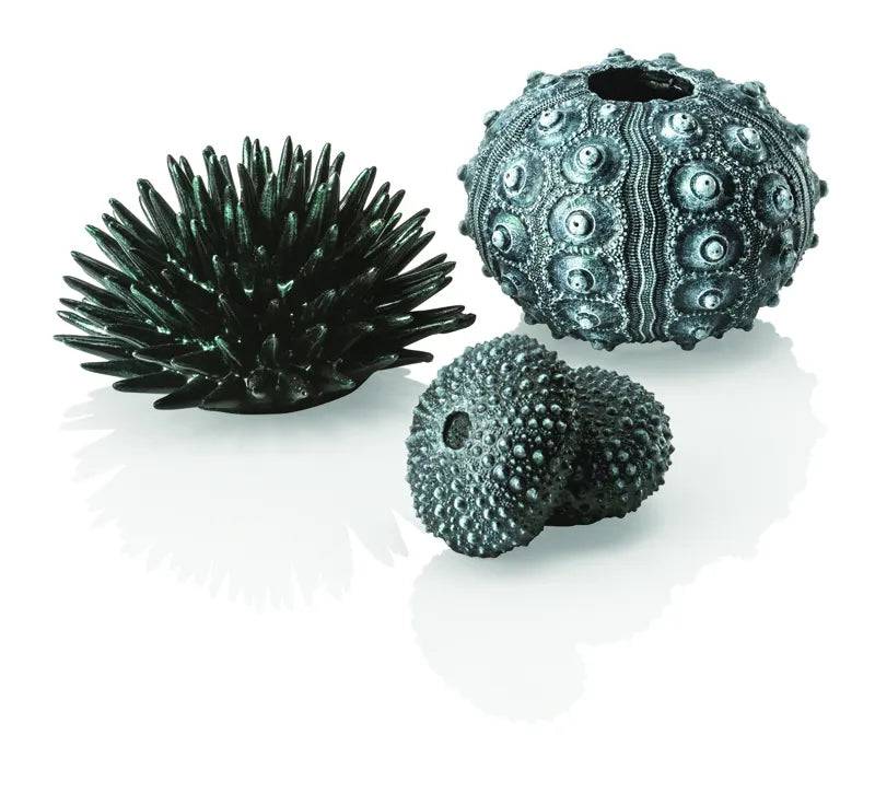 biOrb Sea Urchins Set of 3 in Black - Mill Race Garden Centre