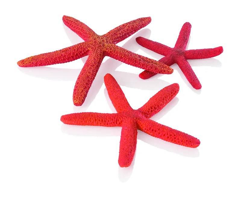 biOrb Small Starfish Red x3. - Mill Race Garden Centre