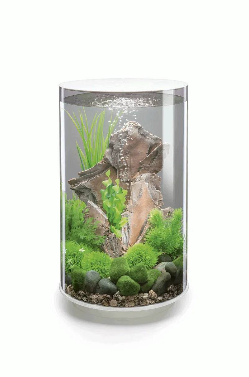 biOrb Tube 30L in White with Multi Colour Remote - Mill Race Garden Centre