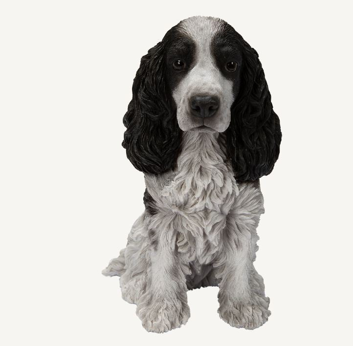 Real Life Black and White Cocker Spaniel Size D by Vivid Arts - Mill Race Garden Centre