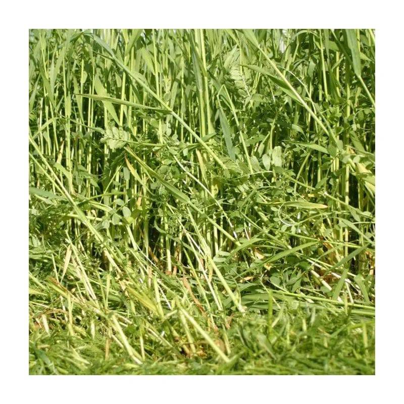 E.W. King & Co. Ltd. Suffolk Herbs Green Manures Winter Mix seed packet for winter soil enrichment and plant growth.