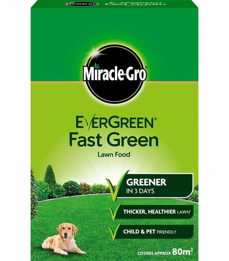 Evergreen Fast Green 80m - Mill Race Garden Centre