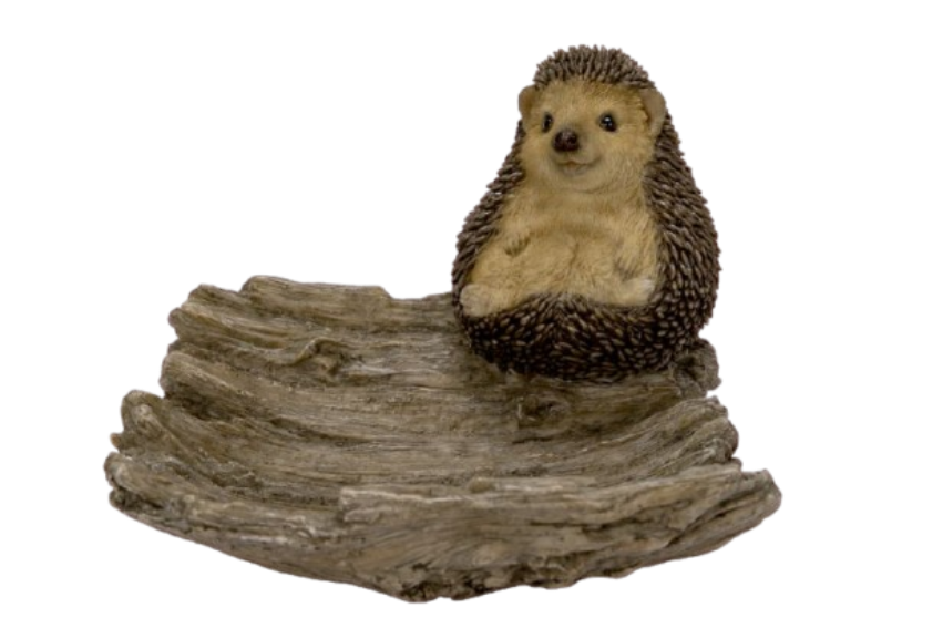 Hedgehog on Driftwood Size F by Vivid Arts - Mill Race Garden Centre