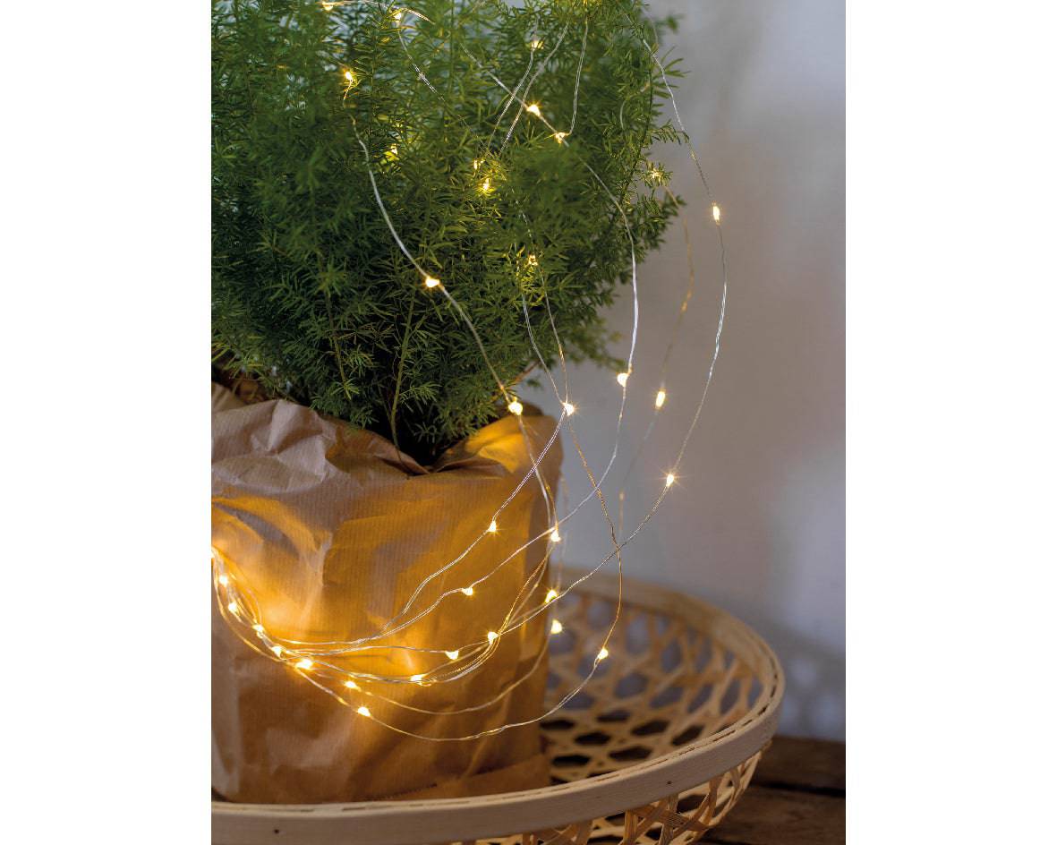 53cm Battery Operated Micro 36 Warm White LED Bunch Lights by Kaemingk - Mill Race Garden Centre