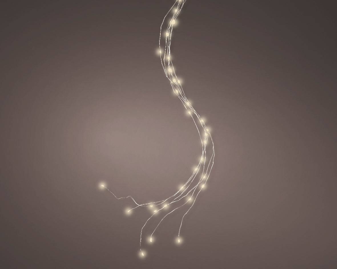 53cm Battery Operated Micro 36 Warm White LED Bunch Lights by Kaemingk - Mill Race Garden Centre