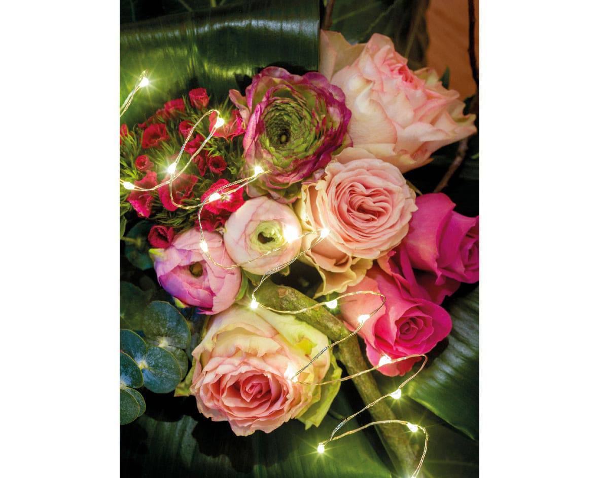 73cm Battery Operated Micro 48 Warm White LED Bunch Lights by Kaemingk - Mill Race Garden Centre