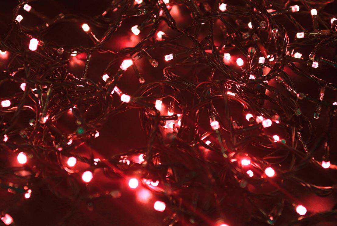 100 Bulb Red LED Connectable Static String Lights - Mill Race Garden Centre