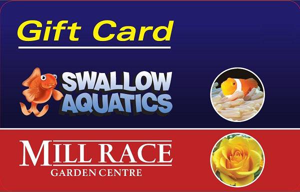 Mill Race Garden Centre Virtual Gift Card - Mill Race Garden Centre
