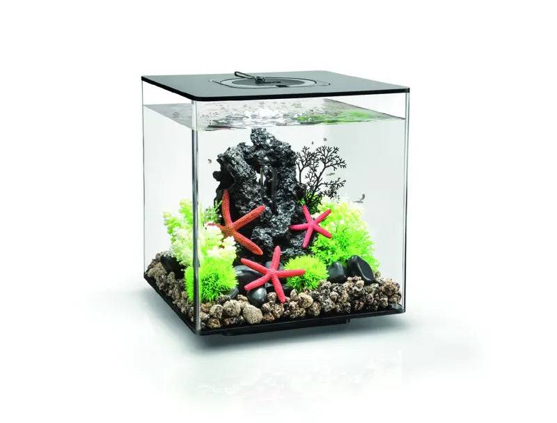 biOrb CUBE 30L Black with Multi-Colour Remote 2020. - Mill Race Garden Centre