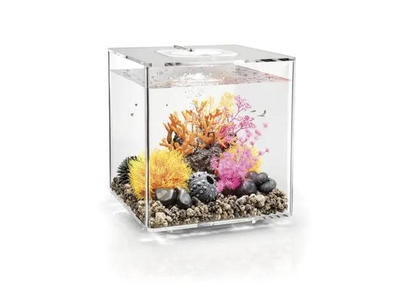 biOrb CUBE 30L Clear with Multi-Colour Remote 2020. - Mill Race Garden Centre