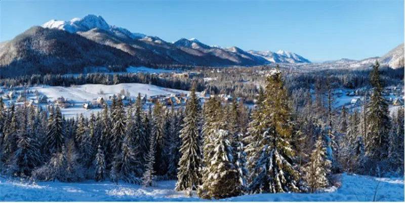 BACKGROUND CLOTH WINTER VILLAGE XL 300x150CM - Mill Race Garden Centre