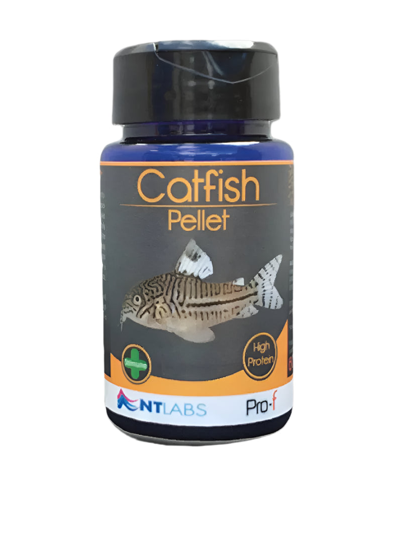 NT Labs Pro-F Catfish Pellet 60g - Mill Race Garden Centre