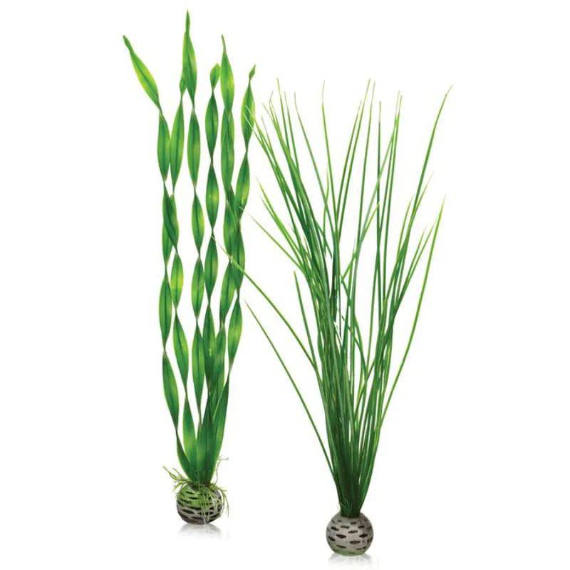 biOrb Easy Plant Small Green Accessory Pack x2 Aquarium Decoration - Mill Race Garden Centre