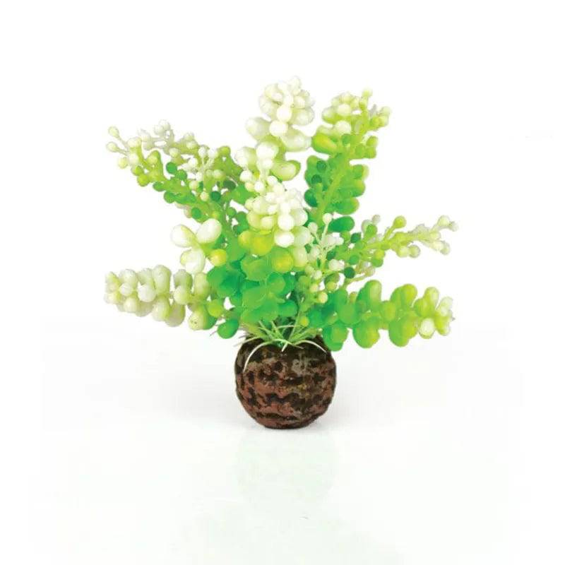 biOrb Green Caulerpa Plant Ornament - Mill Race Garden Centre