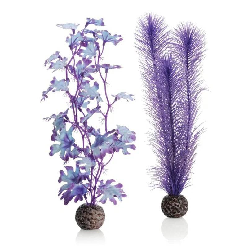 biOrb Medium Purple Kelp Set of 2 Aquarium Decoration - Mill Race Garden Centre