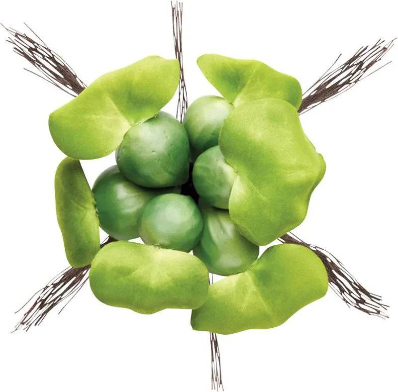 Pontec PondoHyacinth - Mill Race Garden Centre