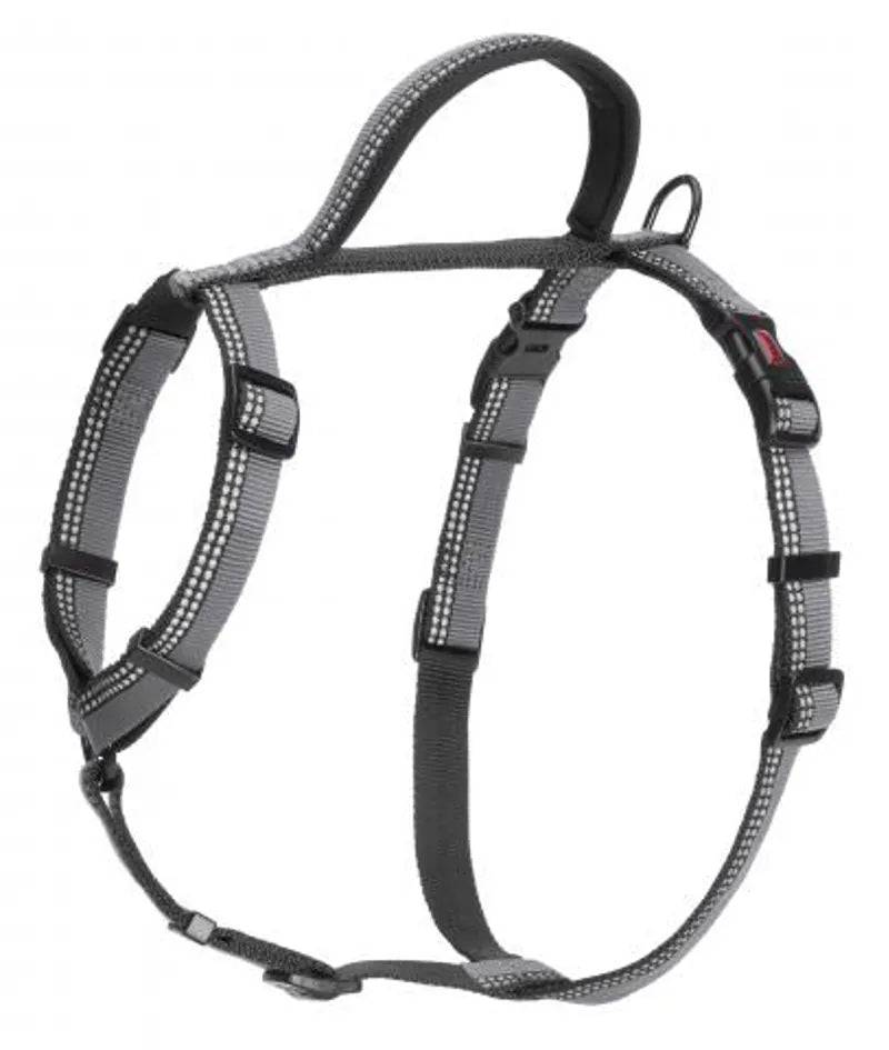 Halti Medium Walking Harness in Black - Mill Race Garden Centre