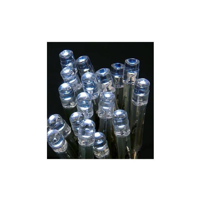 20 BO White LEDs in CDU - Mill Race Garden Centre