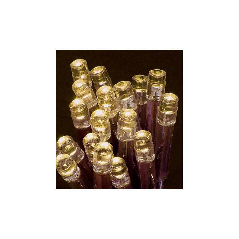 20 BO WW Leds in CDU - Mill Race Garden Centre