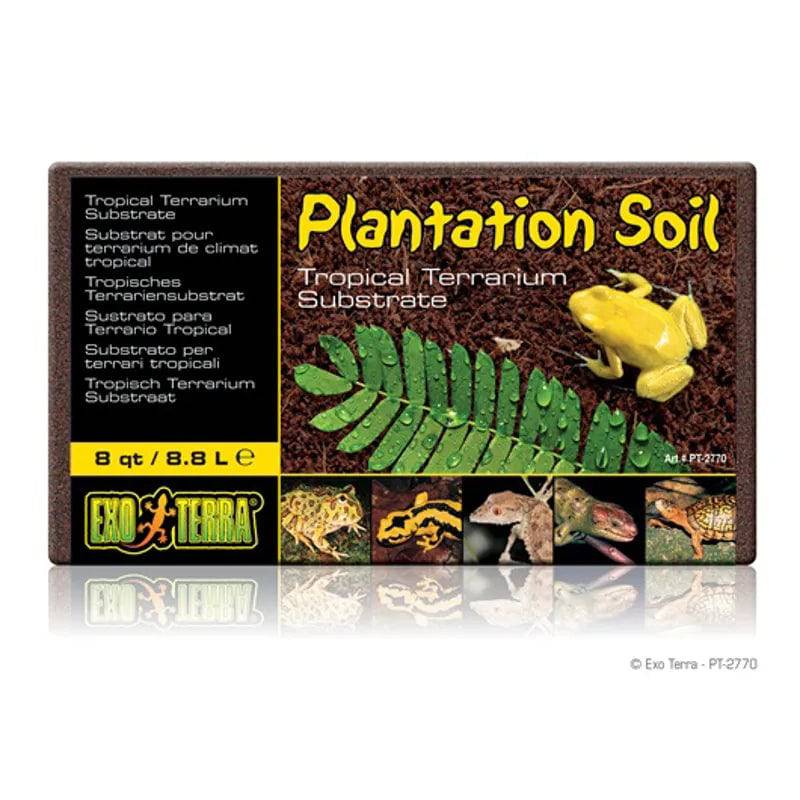 Exo Terra Plantation Soil Container - Mill Race Garden Centre