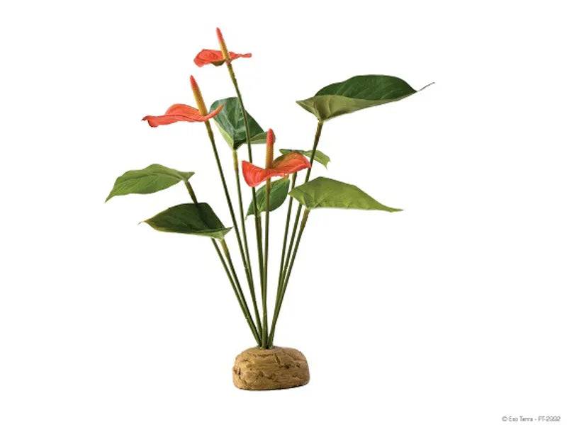 Exo Terra Terrarium Rainforest Anthurium Bush Artificial Plant - Mill Race Garden Centre